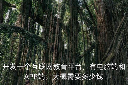 開發一個互聯網教育平臺，有電腦端和APP端，大概需要多少錢