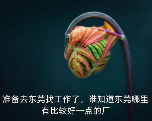準(zhǔn)備去東莞找工作了，誰知道東莞哪里有比較好一點(diǎn)的廠