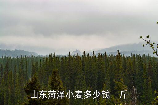 正宗山東小麥胚芽米多少錢一斤,河南的小麥大概是多少錢一斤