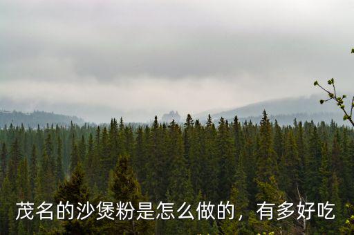茂名的沙煲粉是怎么做的，有多好吃