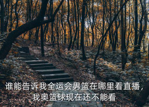 誰能告訴我全運會男籃在哪里看直播，我奧籃球現在還不能看