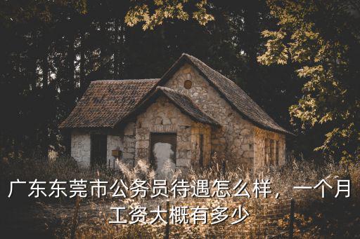 東莞隆興達工資怎么樣,廣東東莞市公務員待遇怎么樣
