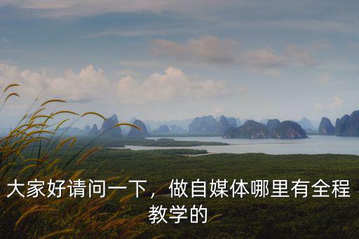 大家好請問一下，做自媒體哪里有全程教學的