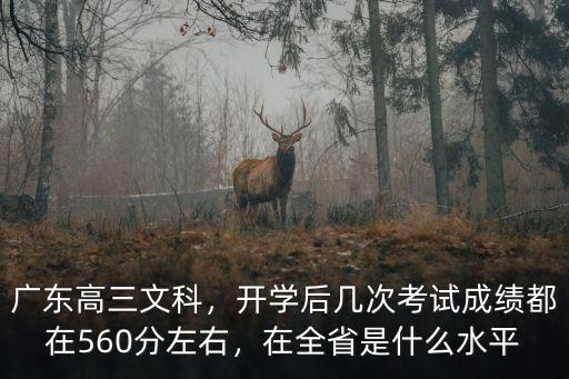 廣東高三文科，開學后幾次考試成績都在560分左右，在全省是什么水平