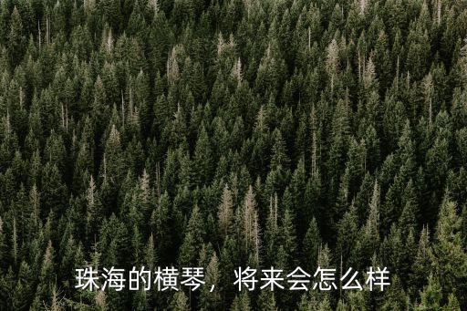 珠海的橫琴，將來會怎么樣