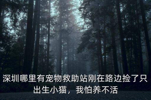 深圳哪里有養粉蟲,深圳哪里有寵物救助站