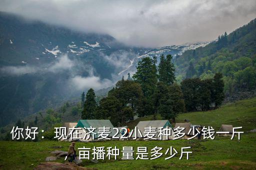 濟寧汶上小麥多少錢一斤,小麥價格現在多少錢一斤