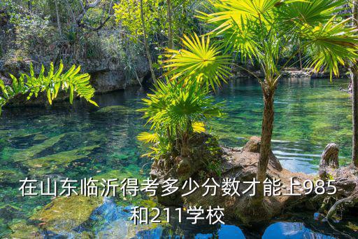 在山東臨沂得考多少分數才能上985和211學校