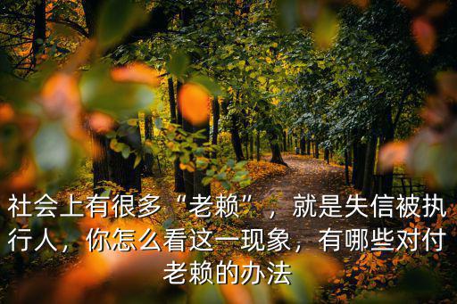 社會上有很多“老賴”，就是失信被執行人，你怎么看這一現象，有哪些對付老賴的辦法