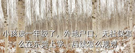 怎么在東莞讀書,無社保怎么在東莞上學