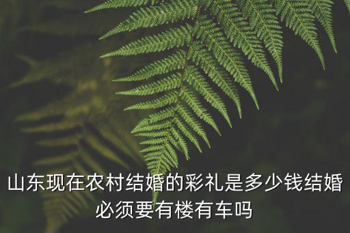山東農(nóng)村結(jié)婚要多少彩禮,在農(nóng)村結(jié)婚時