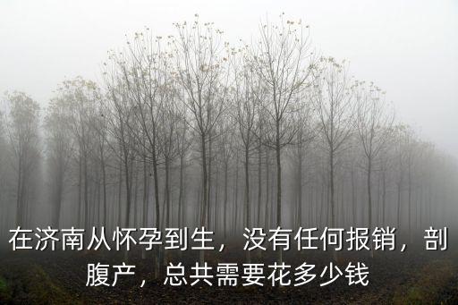 濟南分娩要多少錢,總共需要花多少錢