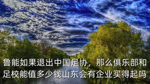 魯能如果退出中國足協，那么俱樂部和足校能值多少錢山東會有企業買得起嗎