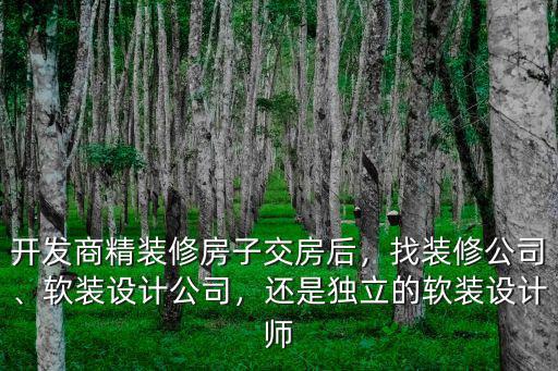 東莞精裝修房子怎么裝修公司,開發商精裝修房子交房后