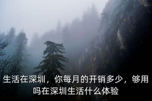 在深圳生活一月最少多少錢,在深圳生活什么體驗
