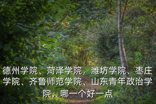 濰坊學院去年二本最低多少,濰坊學院是三本還是二本