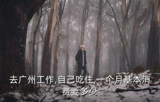 去廣州工作,自己吃住,一個月基本消費要多少