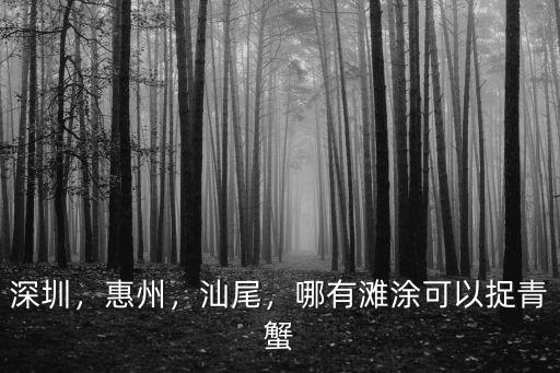 深圳哪里有大青蟹吃,深圳海灘哪里最好