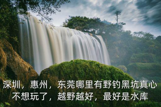 深圳，惠州，東莞哪里有野釣黑坑真心不想玩了，越野越好，最好是水庫