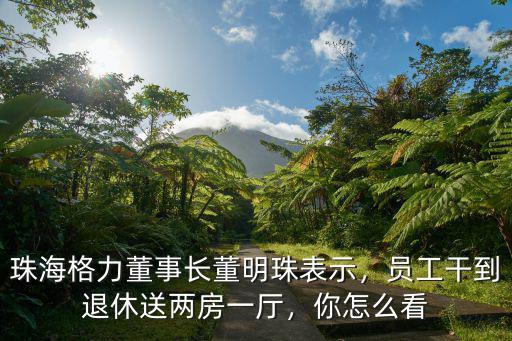 珠海人怎么看格力,珠海格力董事長董明珠表示