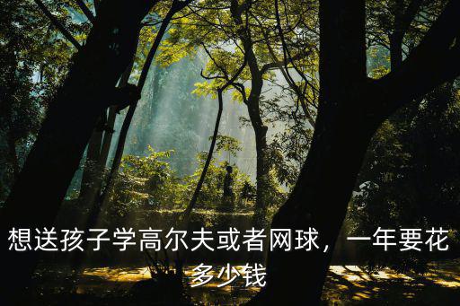 想送孩子學(xué)高爾夫或者網(wǎng)球，一年要花多少錢