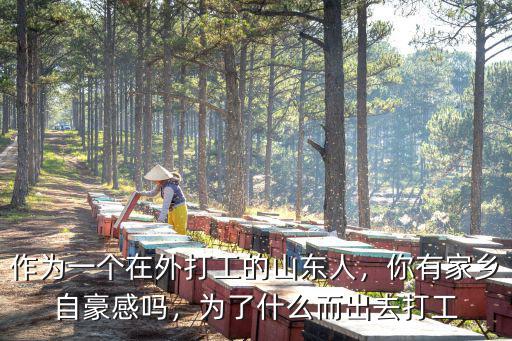 作為一個(gè)在外打工的山東人，你有家鄉(xiāng)自豪感嗎，為了什么而出去打工