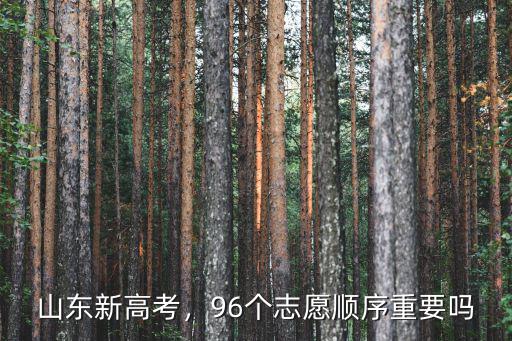 山東新高考要填多少個志愿,山東的本科征集志愿填多少個