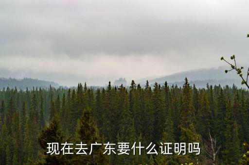 現在去廣東要什么證明嗎