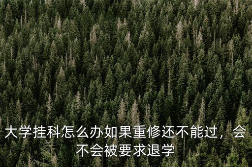 濟南大學(xué)掛多少科退學(xué),會不會被要求退學(xué)