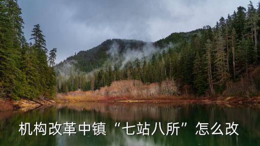 2019廣東鄉(xiāng)鎮(zhèn)機構(gòu)改革設(shè)置怎么改,鄉(xiāng)鎮(zhèn)國土資源所怎么改革