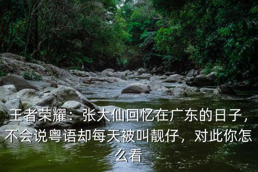 王者榮耀廣東話怎么講,王者榮耀流傳最廣的5句話