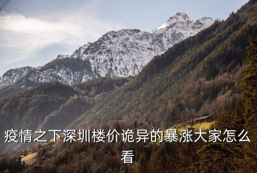 深圳房價是怎么吸引人才,深圳人才購房數量先增后降