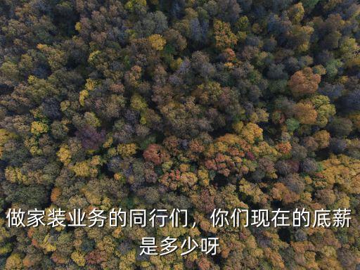 做家裝業(yè)務的同行們，你們現(xiàn)在的底薪是多少呀
