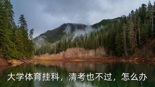 大學(xué)體育掛科，清考也不過，怎么辦