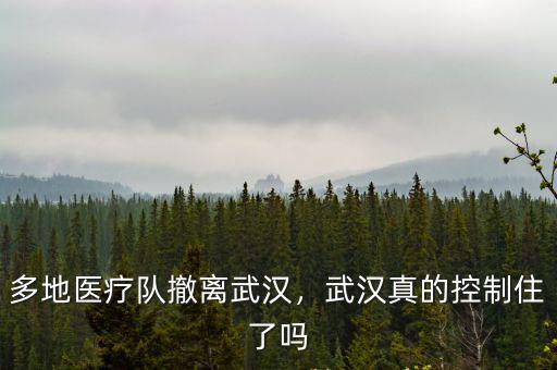 多地醫療隊撤離武漢，武漢真的控制住了嗎