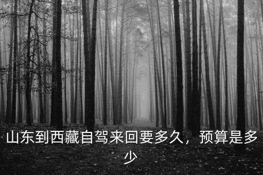 濟寧到壽光來回油費多少,山東到西藏自駕來回要多久