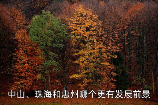 中山、珠海和惠州哪個更有發展前景