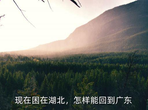 現(xiàn)在湖北孝感怎么回廣東,怎樣能回到廣東
