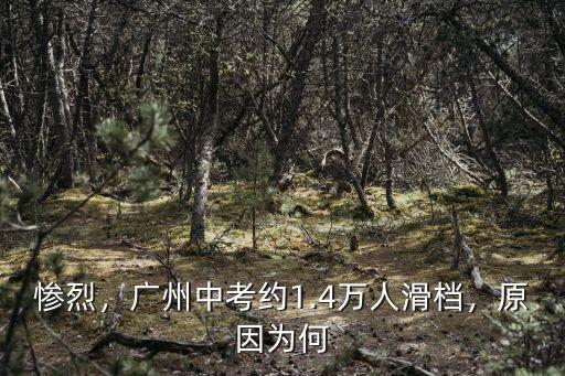 廣州中考升學率怎么樣,廣州中考錄取率為什么這么低