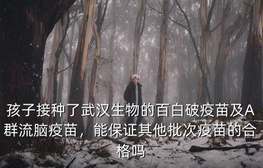 孩子接種了武漢生物的百白破疫苗及A群流腦疫苗，能保證其他批次疫苗的合格嗎