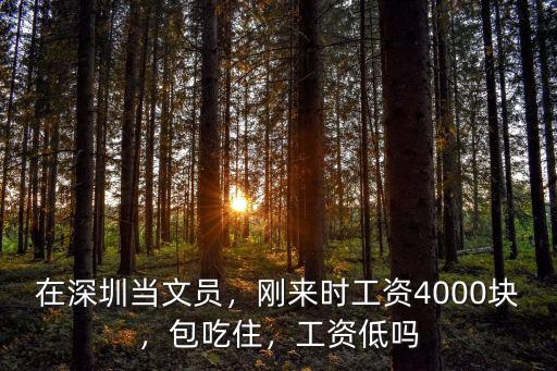 深圳沙井做文員多少錢,在深圳當(dāng)文員