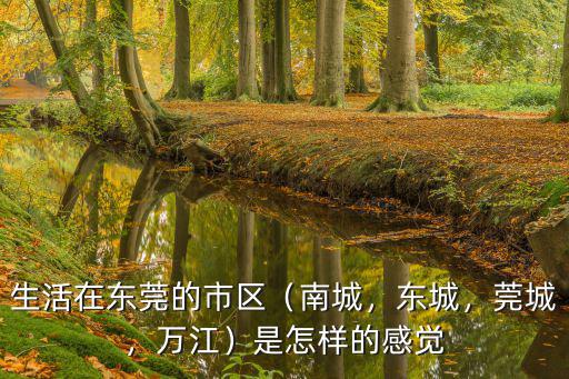 生活在東莞的市區（南城，東城，莞城，萬江）是怎樣的感覺