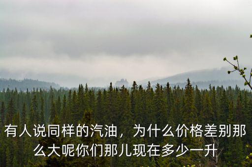 有人說同樣的汽油，為什么價格差別那么大呢你們那兒現(xiàn)在多少一升