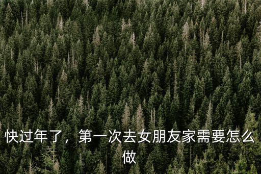 快過年了，第一次去女朋友家需要怎么做