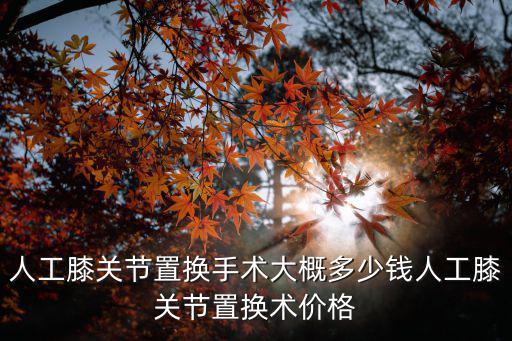 濟寧附院關節置換手術多少錢,人工膝關節置換術價格