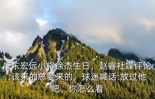 廣東宏遠的官方公告在哪里看,廣東宏遠官方稱