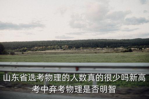 山東省考生有多少選物理的,選了物化歷三科
