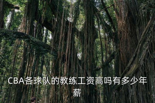 廣東男籃教練是誰年薪多少,廣東功勛教頭空降上海