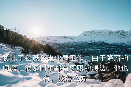 我兒子在茂名電業局工作，由于降薪的問題，很多同事都有離職的想法、他也有，該怎么辦