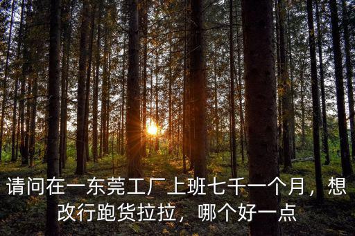 請問在一東莞工廠上班七千一個月，想改行跑貨拉拉，哪個好一點